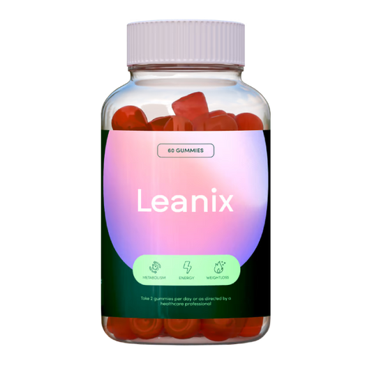 Leanix